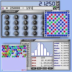 Calculator with Extra Function
Panels